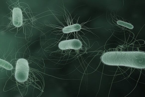 mikroorganismer som orsakar patologisk urladdning vid upphetsning