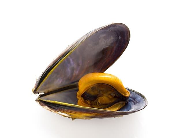 På grund av det höga innehållet av zink förbättrar musslor kvaliteten på spermier